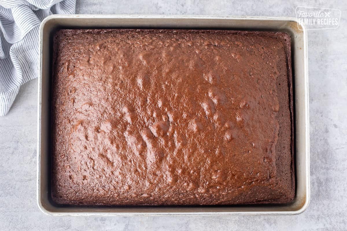 Baked chocolate cake in a metal pan.