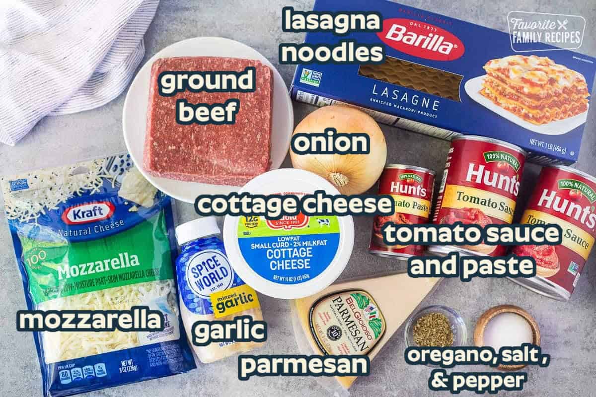 Ingredients to make crockpot lasagna including lasagna noodles, tomato sauce, tomato paste, salt, oregano, parmesan cheese, garlic, cottage cheese, onion, ground beef, and mozzarella cheese.