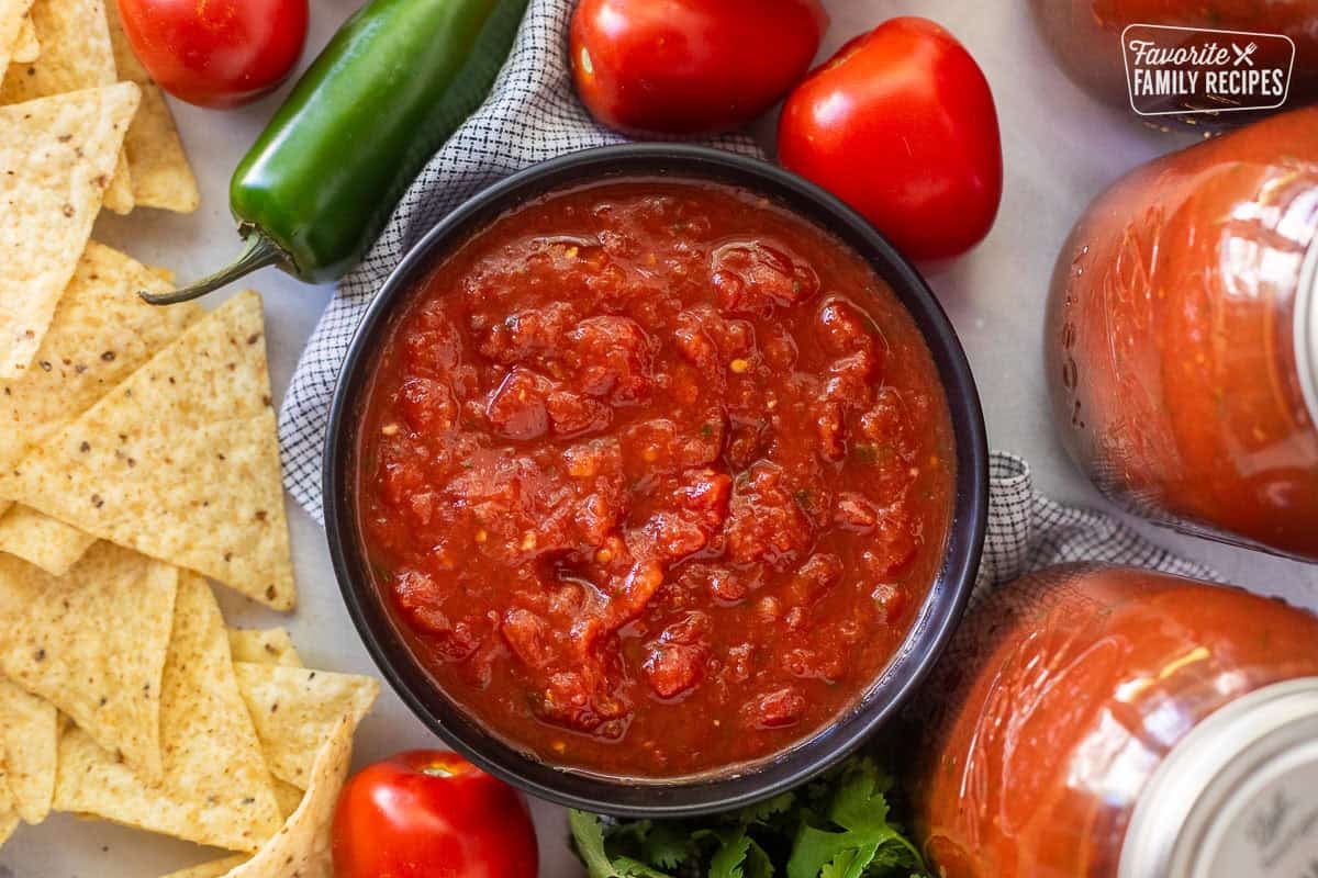 Bowl of savory canned salsa.
