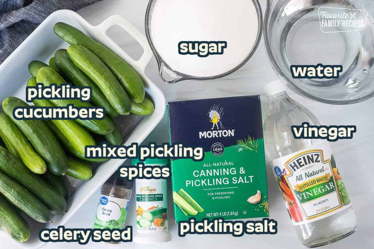 Ingredients to make sweet pickles including cucumbers, pickling salt, vinegar, sugar, water, pickling spices and celery seed.