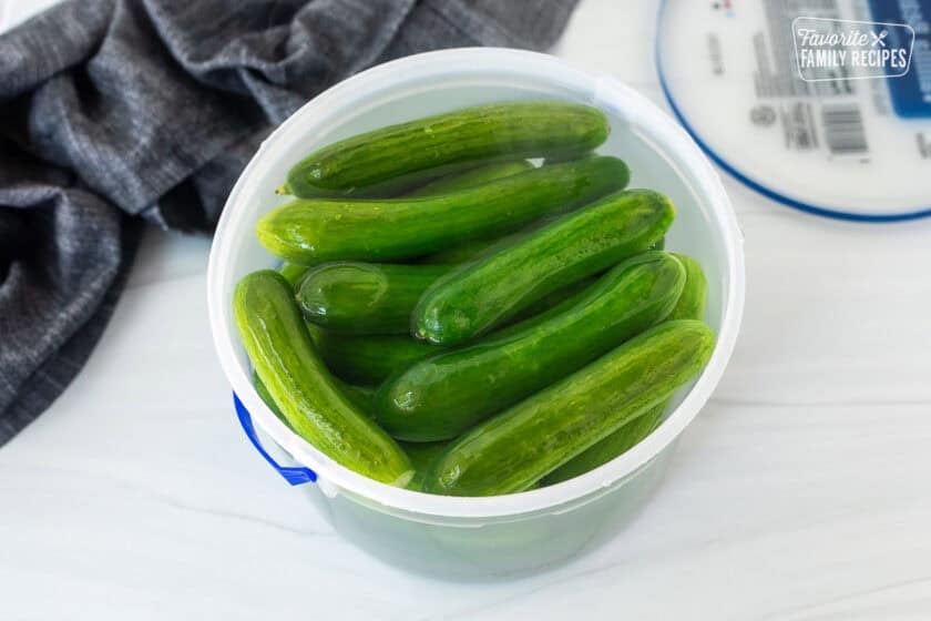 Cucumbers covered with salted water in a gallon container with lid on the side.