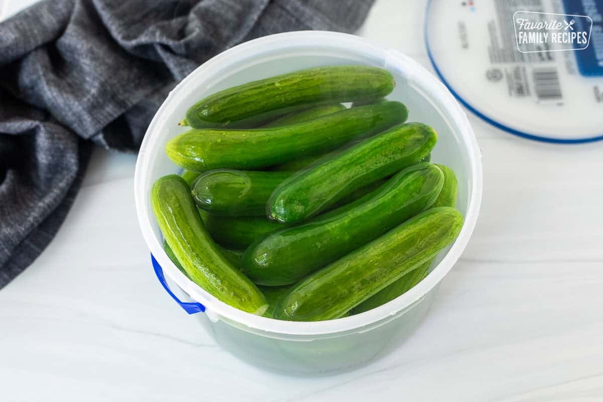 Cucumbers covered with salted water in a gallon container with lid on the side.