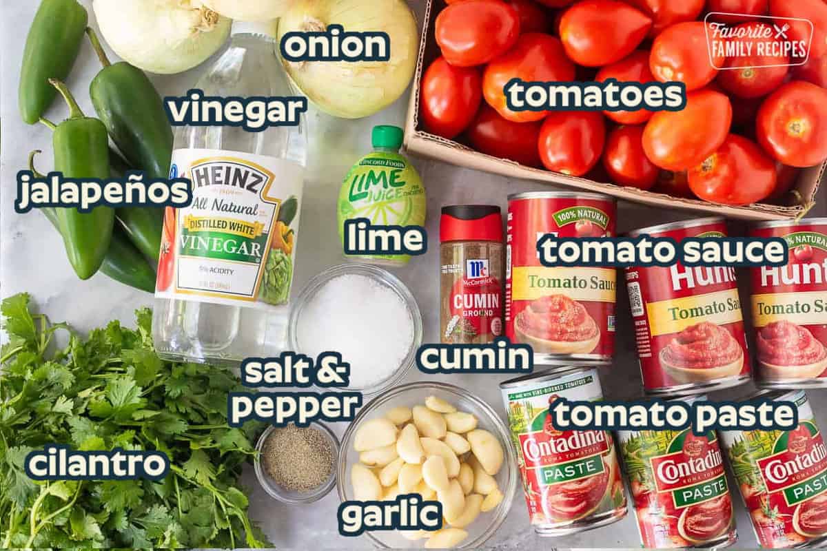 Ingredients to make savory chunky canned salsa including Roma tomatoes, tomato sauce, tomato paste, cumin, garlic, salt, pepper, lime juice, white onions, vinegar, jalapeños, and cilantro.